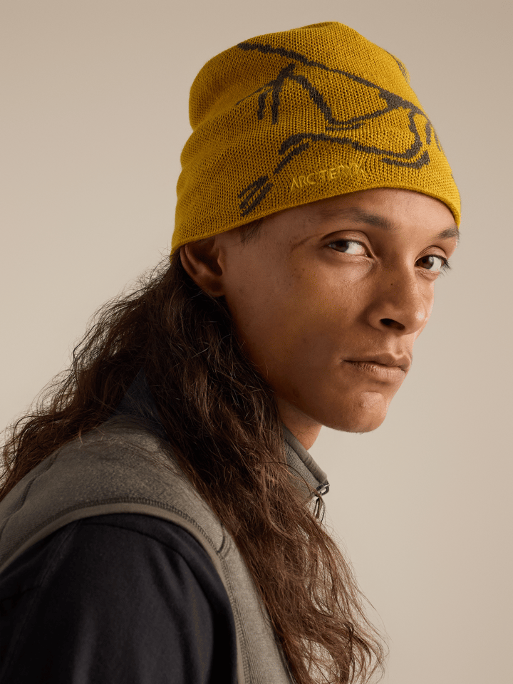 Arc'teryx Bird Head Toque Nucleus/Mongoose Arc'teryx