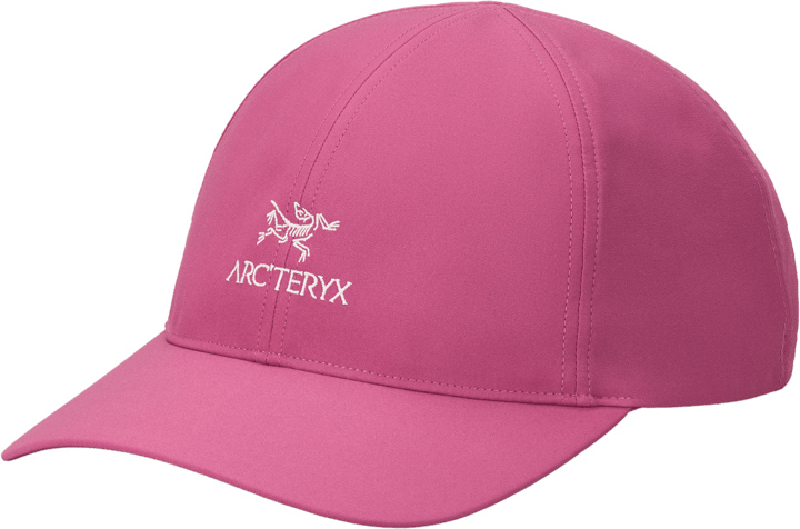 Arc'teryx Bird Word Cap Lt Renegade Arc'teryx