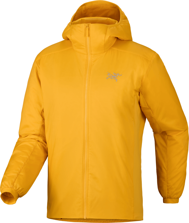 Arc'teryx Men's Atom Hoody Larch Arc'teryx