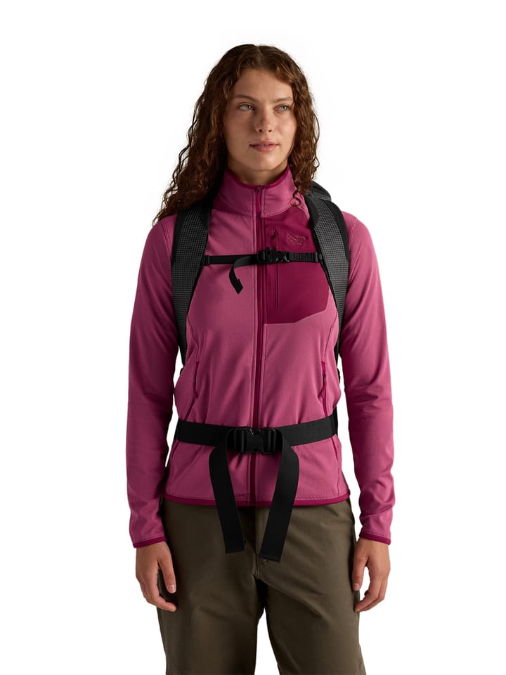 Arc'teryx Alpha Fl 20 Backpack Black Arc'teryx