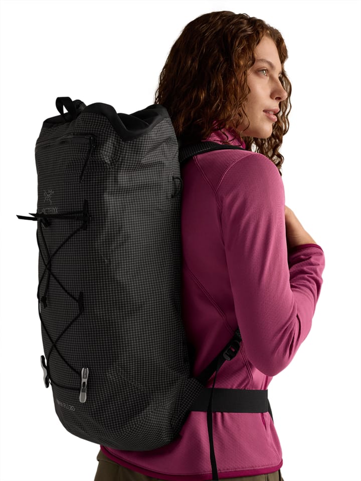 Arc'teryx Alpha Fl 20 Backpack Black Arc'teryx