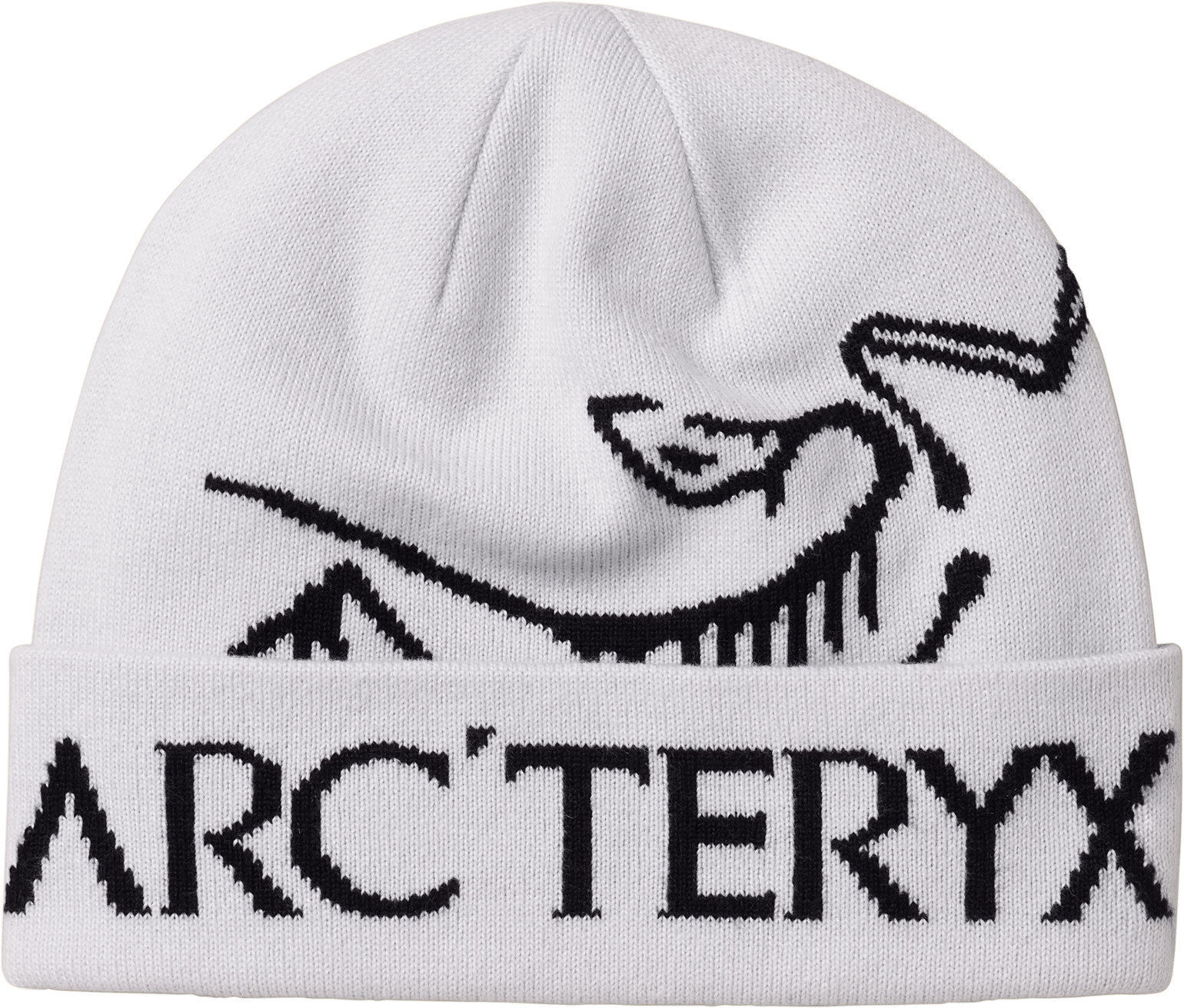 Arc'teryx Bird Word Toque Orca