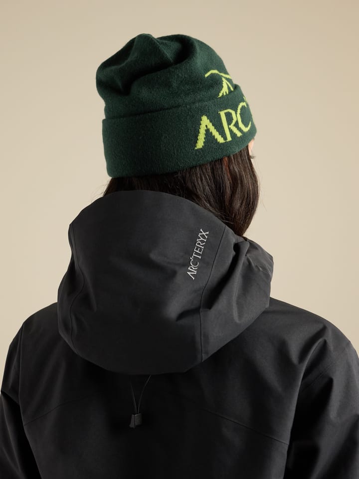 Arc'teryx Bird Word Toque Dark Jade/Mantis Arc'teryx