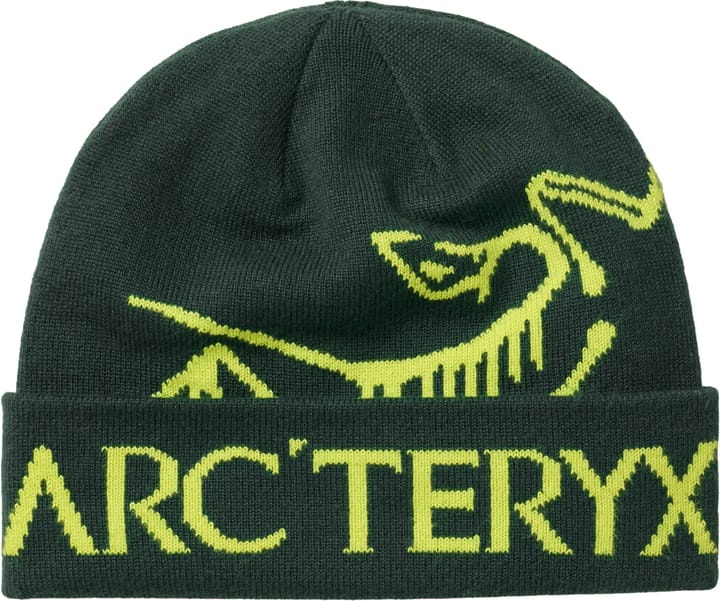 Arc'teryx Bird Word Toque Dark Jade/Mantis Arc'teryx