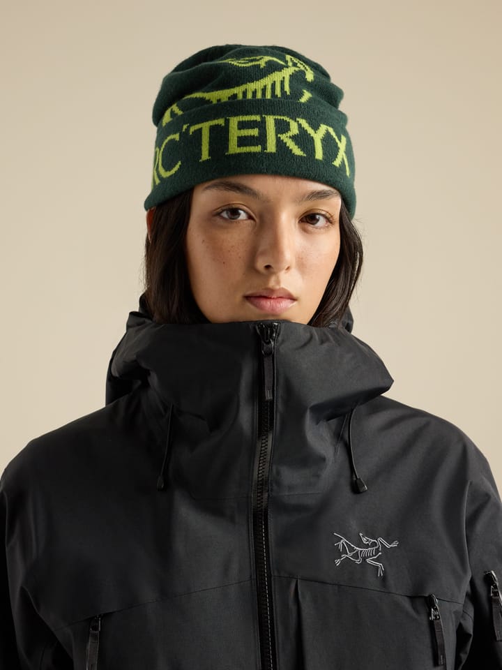 Arc'teryx Bird Word Toque Dark Jade/Mantis Arc'teryx