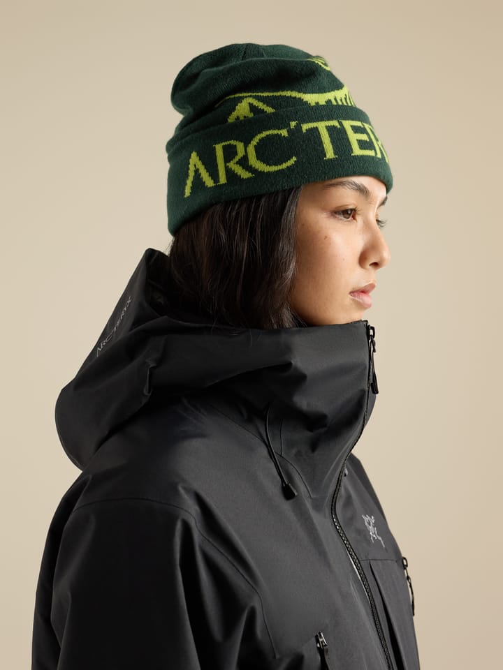 Arc'teryx Bird Word Toque Dark Jade/Mantis Arc'teryx