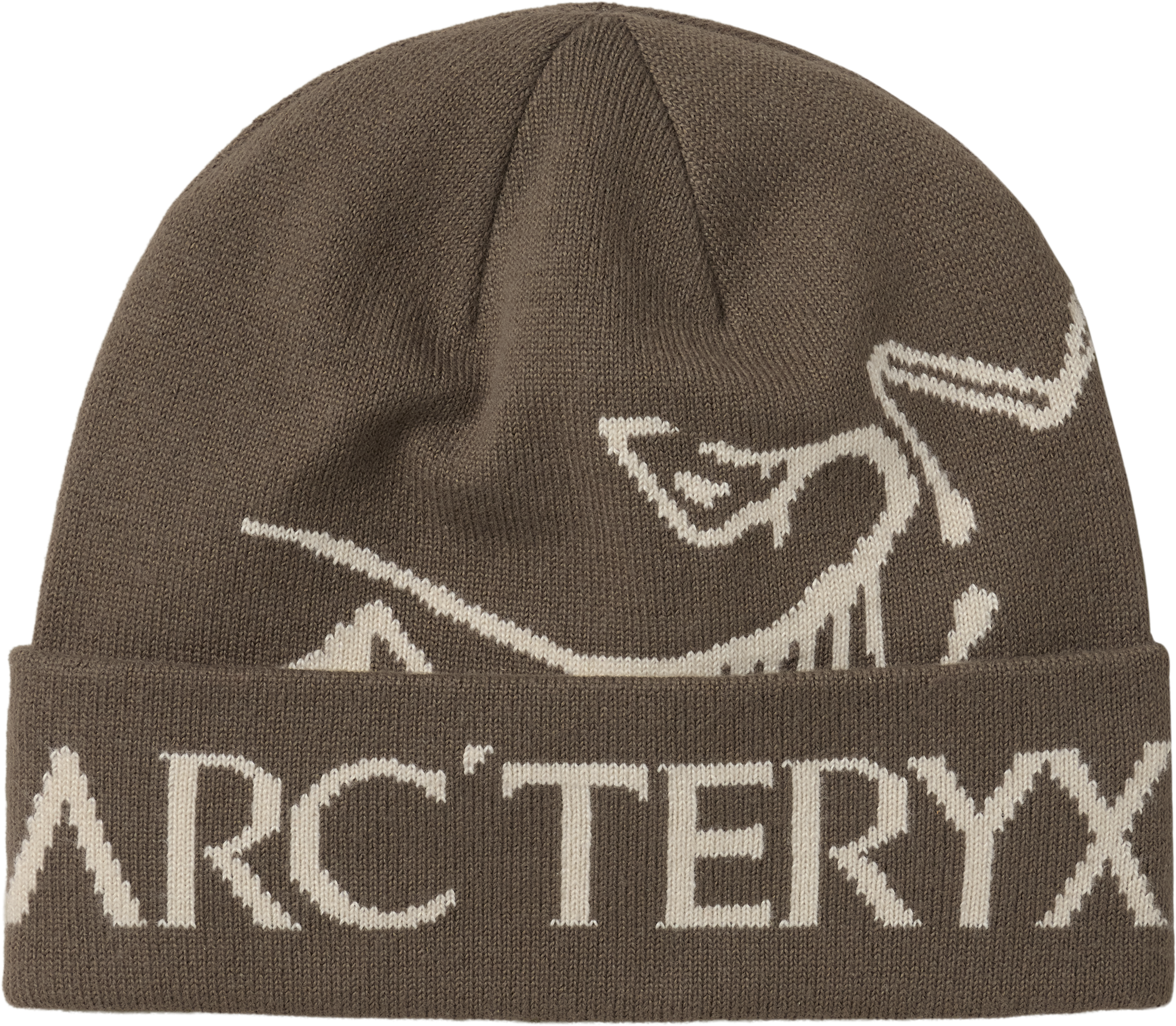 Arc'teryx Bird Word Toque