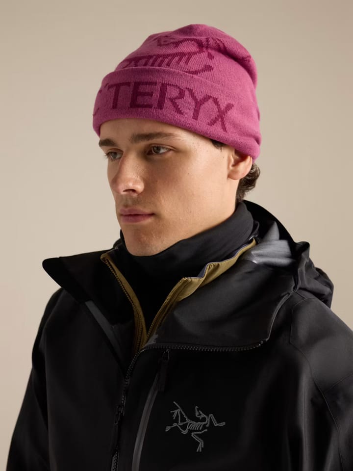 Arc'teryx Bird Word Toque Lt Renegade/Renegade Arc'teryx