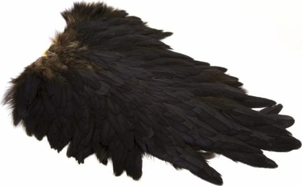 Whiting American Hen Saddle Whiting