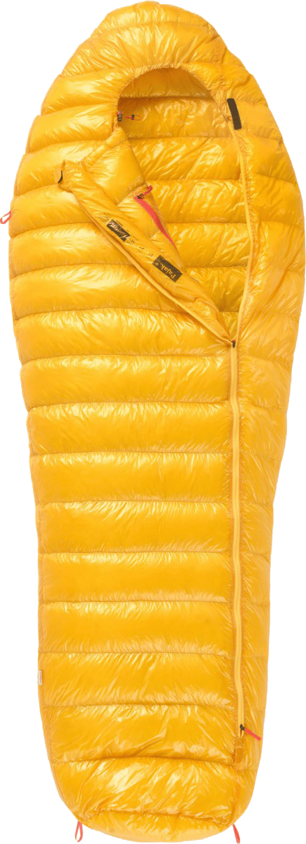 Pajak Radical 1Z Regular Gold Pajak