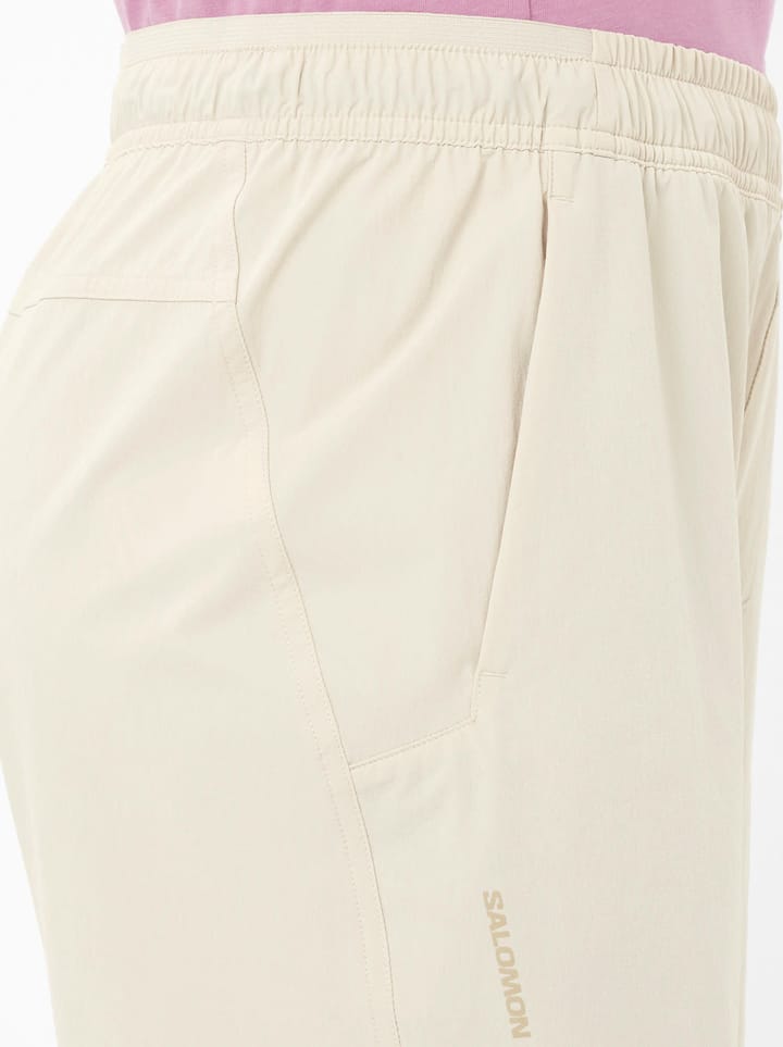 Salomon Wayfarer Ease 2.0 W Silver Cloud/ Salomon