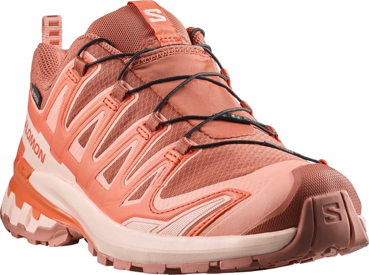 Salomon Women's XA Pro 3d V9 GORE-TEX Pecan Brown / Nectarine / Almond Cream Salomon