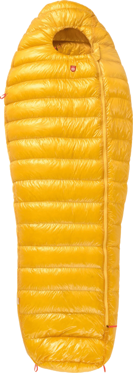 Pajak Radical 1Z Regular Gold Pajak