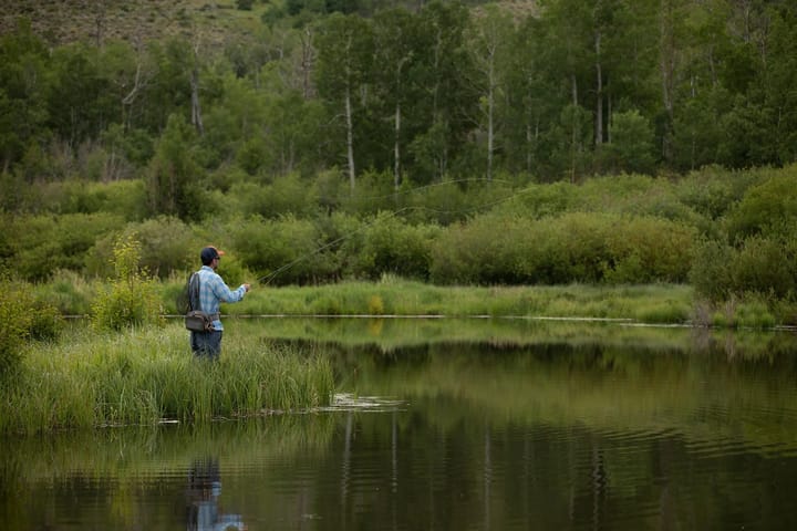 Fishpond Fishpond Switchback Pro Hofteveske I Resirkulert Materiale Fishpond Fishpond Fishpond Switchback Pro Hofteveske I Resirkulert Materiale Fishpond