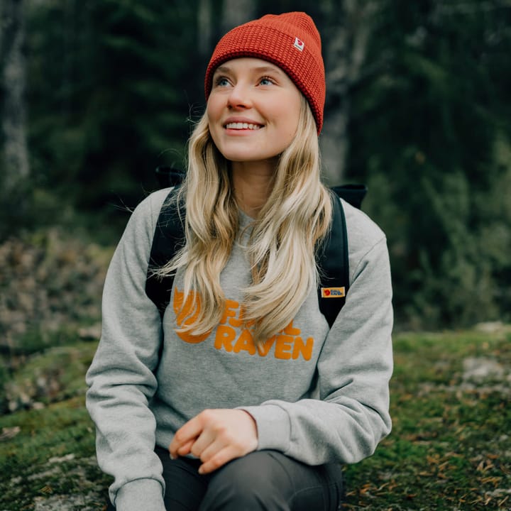 Fjällräven Women's Fjällräven Logo Sweater Dawn Blue/Terracotta Brown Fjällräven