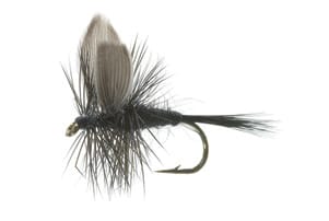 Unique Flies Black Gnat Str. 12 Unique Flies Unique Flies Black Gnat Str. 12 Unique Flies