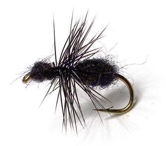 Unique Flies Black Ant Black Str. 16 Unique Flies Unique Flies Black Ant Black Str. 16 Unique Flies