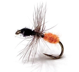 Unique Flies Black Ant Black Str. 16 Unique Flies Unique Flies Black Ant Black Str. 16 Unique Flies