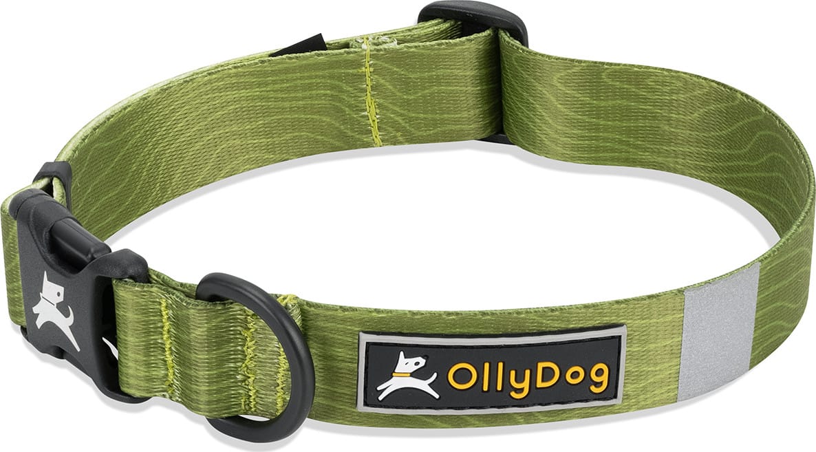 OllyDog Flagstaff Collar  Cactus