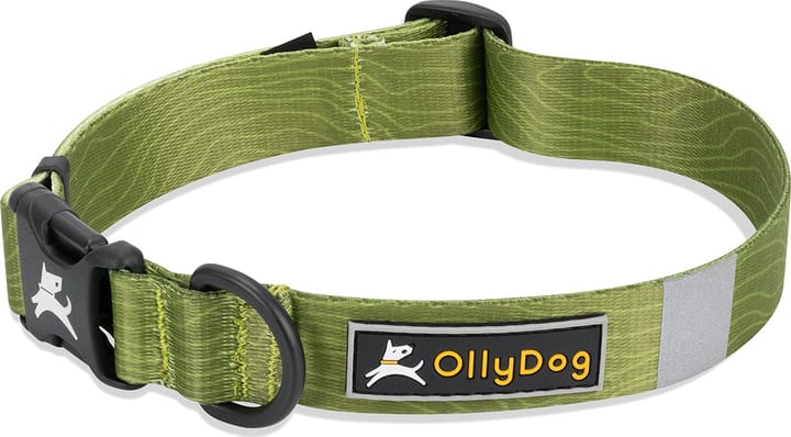 OllyDog Flagstaff Collar  Cactus OllyDog