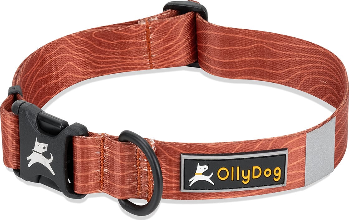 OllyDog Flagstaff Collar  Clay