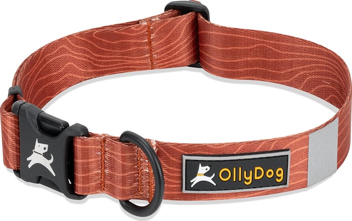 OllyDog Flagstaff Collar  Clay OllyDog