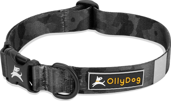 OllyDog Flagstaff Collar  Dream Camo OllyDog
