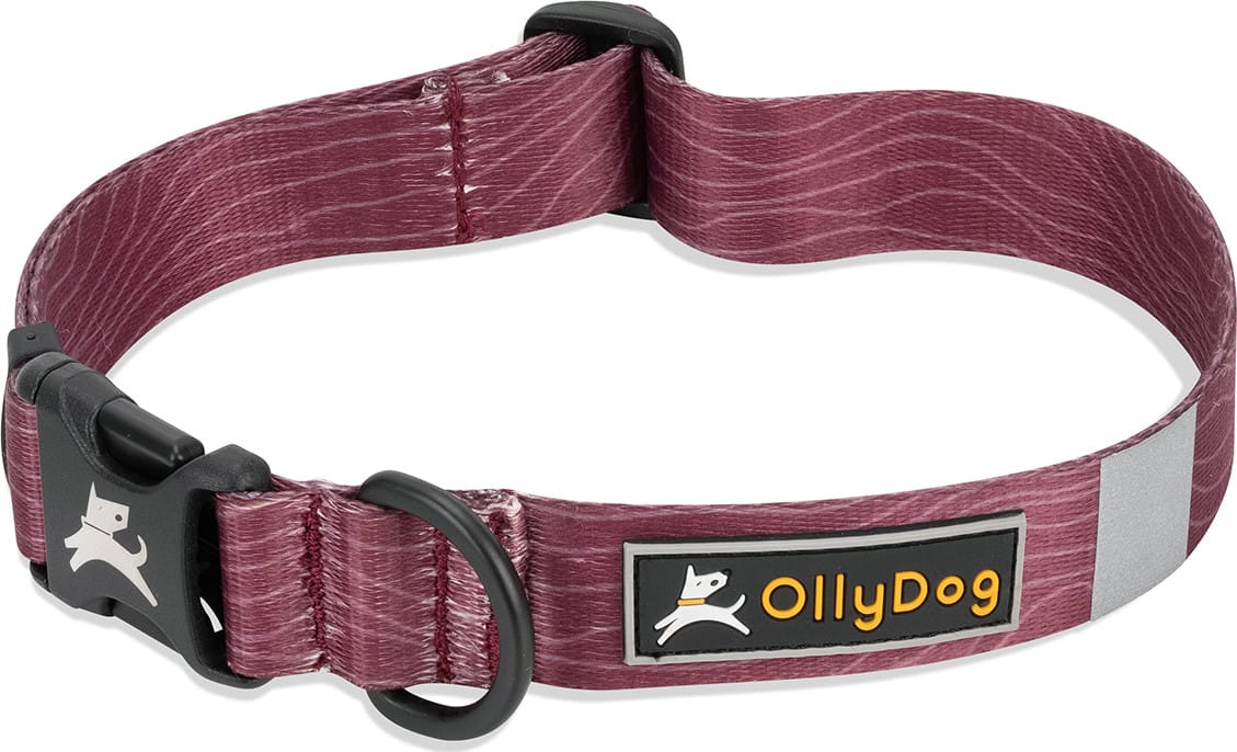OllyDog Flagstaff Collar  Rosewood