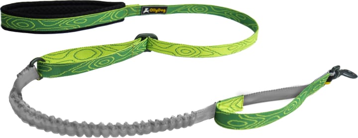 OllyDog Flagstaff Adjustable Spring Leash Sage Bark OllyDog