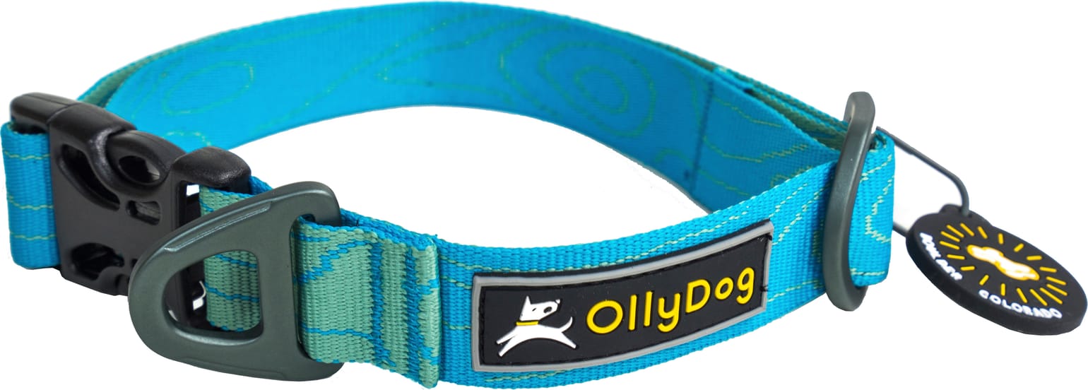 OllyDog Flagstaff Collar  Sky Bark