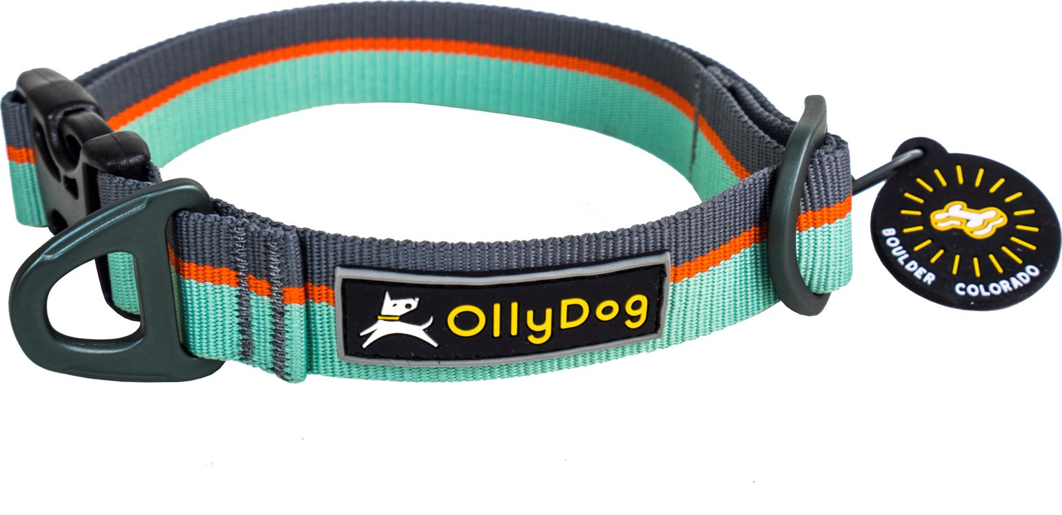 OllyDog Flagstaff Collar  Surf