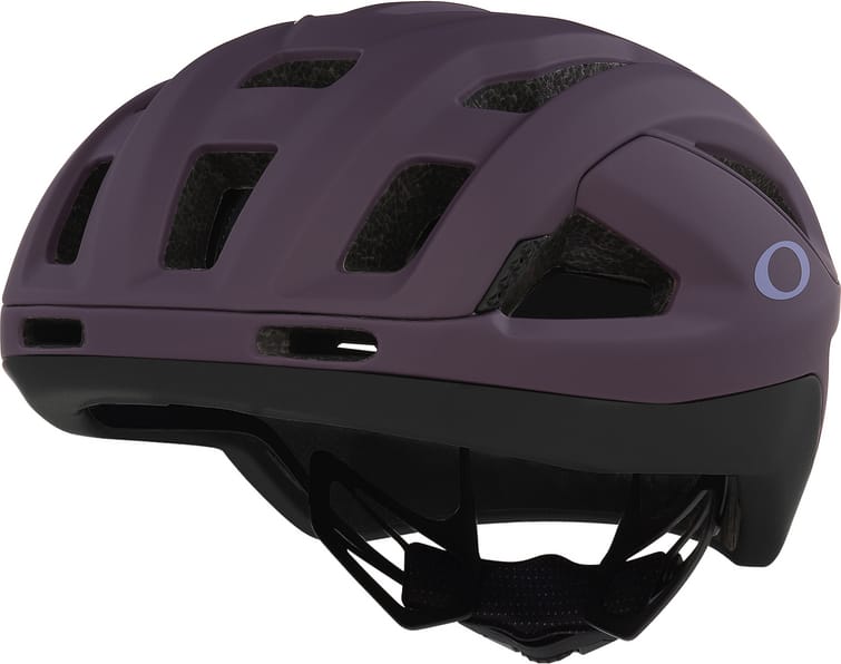 Oakley ARO3 Endurance Matte Aubergine & Black
