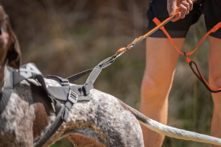 Non-stop Dogwear Freemotion Harness Pro Black Non-stop Dogwear