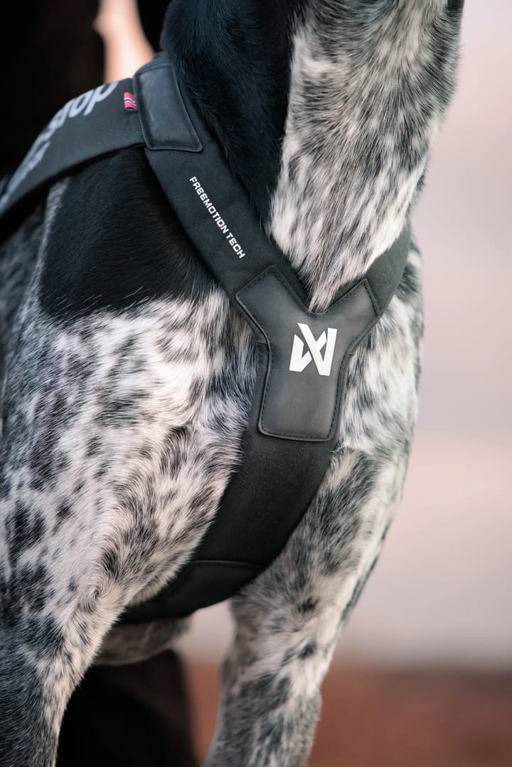 Non-stop Dogwear Freemotion Harness Pro Black Non-stop Dogwear
