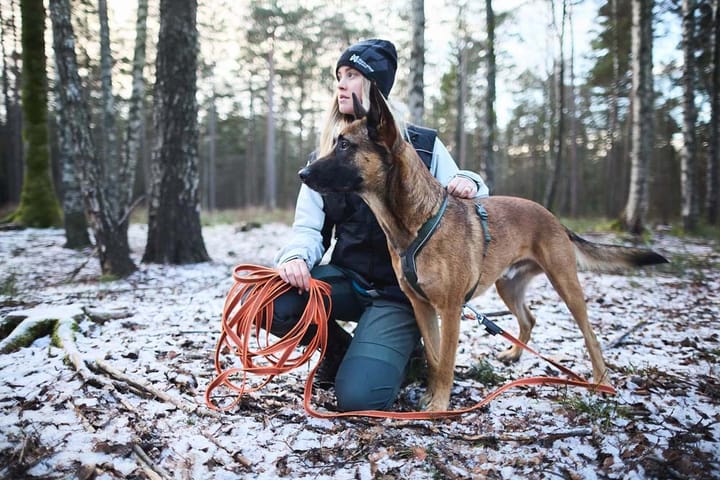 Non-stop Dogwear Friction Long Line 15m Orange Non-stop Dogwear