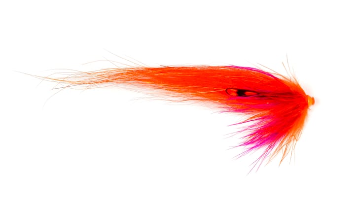 Frodin Flies Ttt Nobody Series Mikkeli Frodin Flies