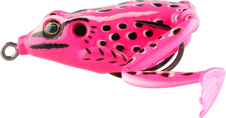 iFish Frog Pink iFish