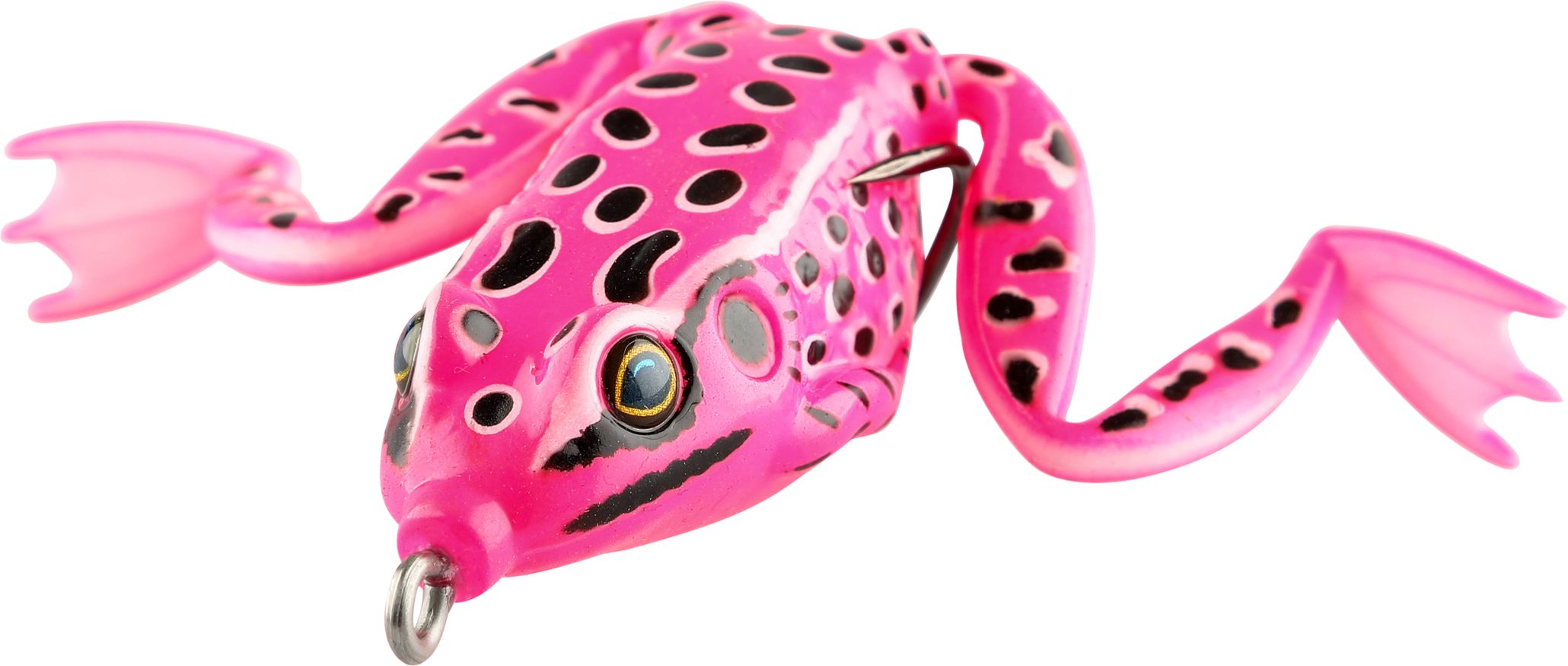 iFish Frog