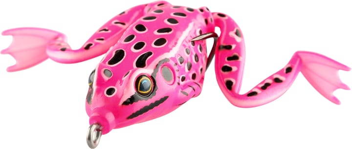 iFish Frog Pink iFish