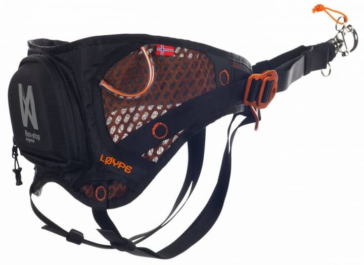 Non-stop Dogwear Løype Belt Orange Non-stop Dogwear