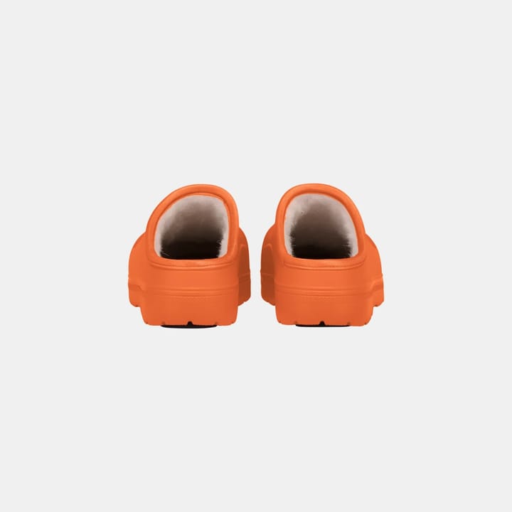 Fubuki Nozawa Orange Fubuki