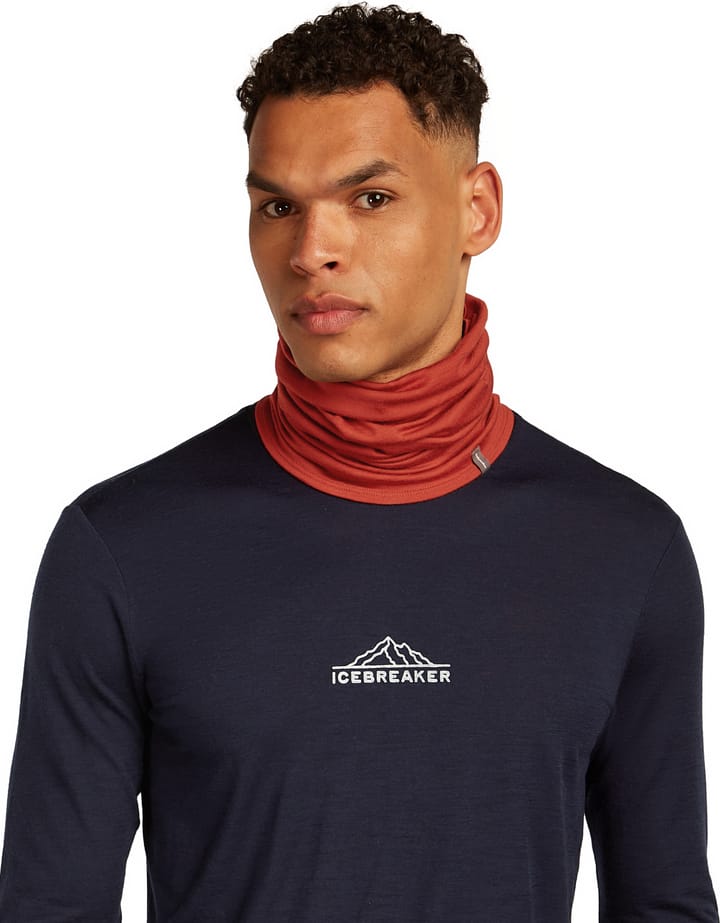 Icebreaker Unisex Merino Flexi Chute Agate Icebreaker