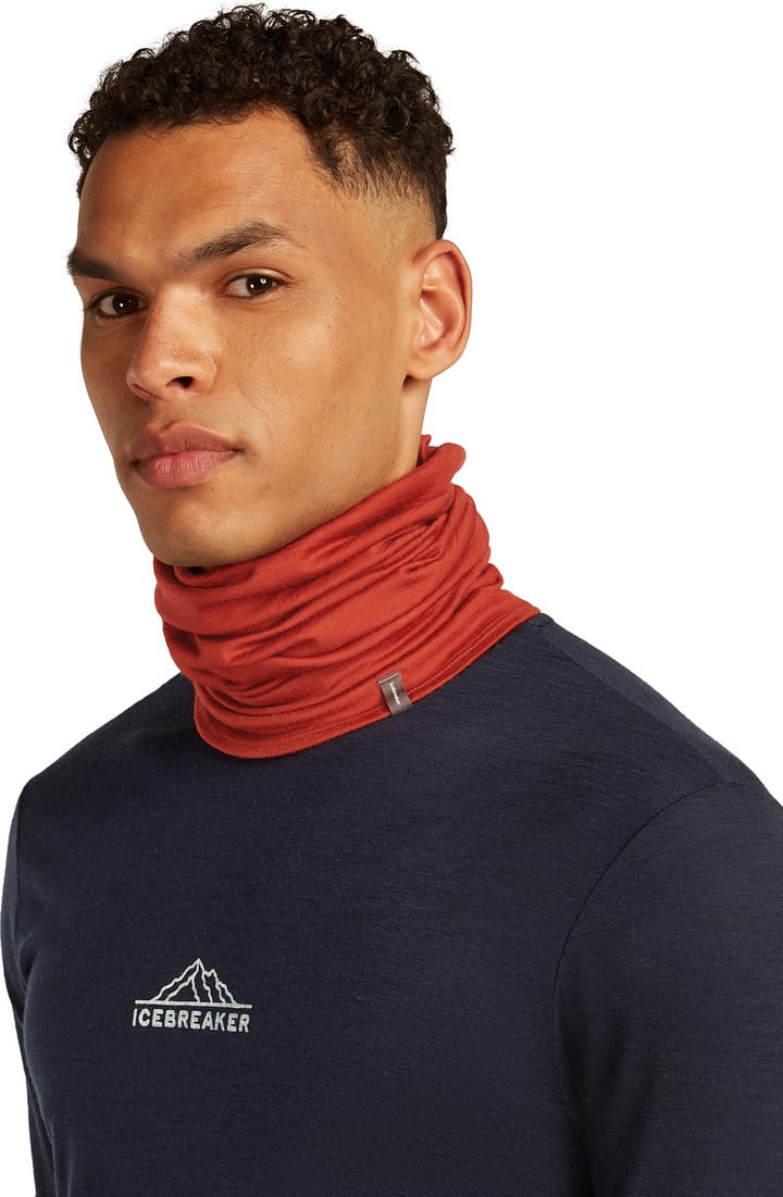 Icebreaker Unisex Merino Flexi Chute Agate Icebreaker