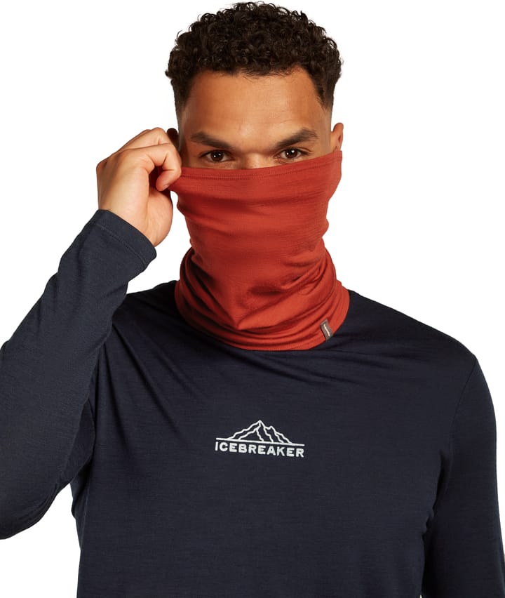 Icebreaker Unisex Merino Flexi Chute Agate Icebreaker