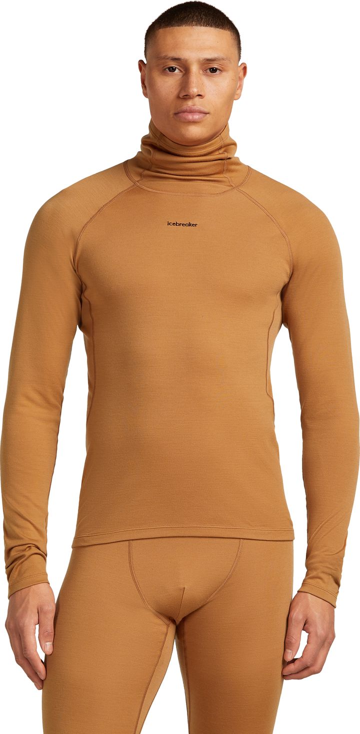 Icebreaker Men's Merino 300 Merinofine™  Polar Long Sleeve Roll Neck Trail Icebreaker