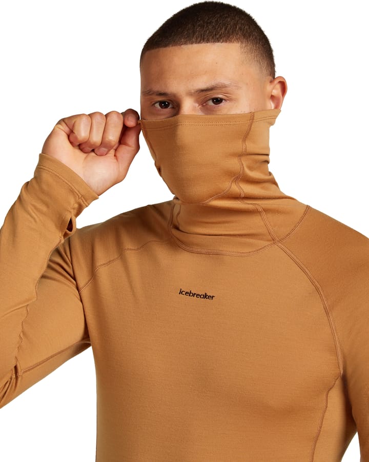 Icebreaker Men's Merino 300 Merinofine™  Polar Long Sleeve Roll Neck Trail Icebreaker