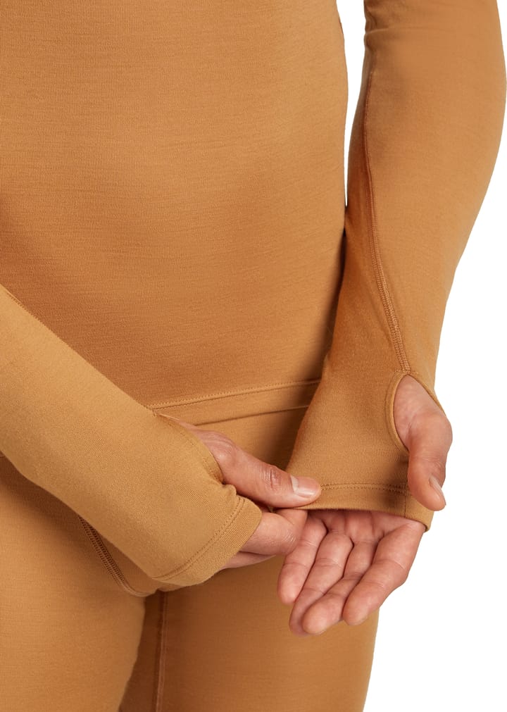 Icebreaker Men's Merino 300 Merinofine™  Polar Long Sleeve Roll Neck Trail Icebreaker