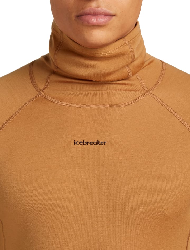 Icebreaker Men's Merino 300 Merinofine™  Polar Long Sleeve Roll Neck Trail Icebreaker