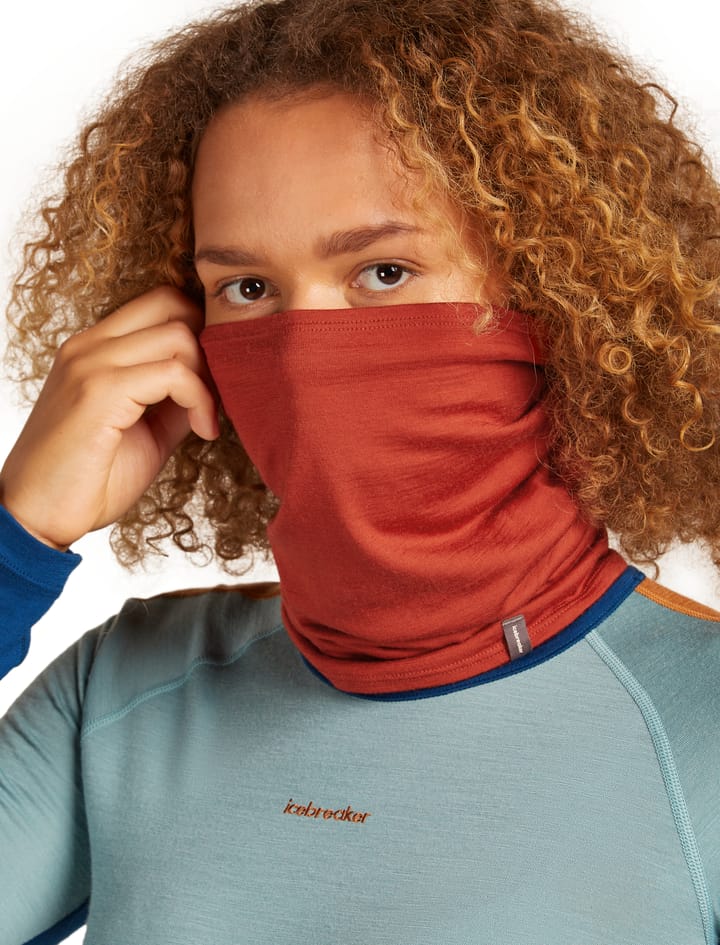 Icebreaker Unisex Merino Flexi Chute Agate Icebreaker