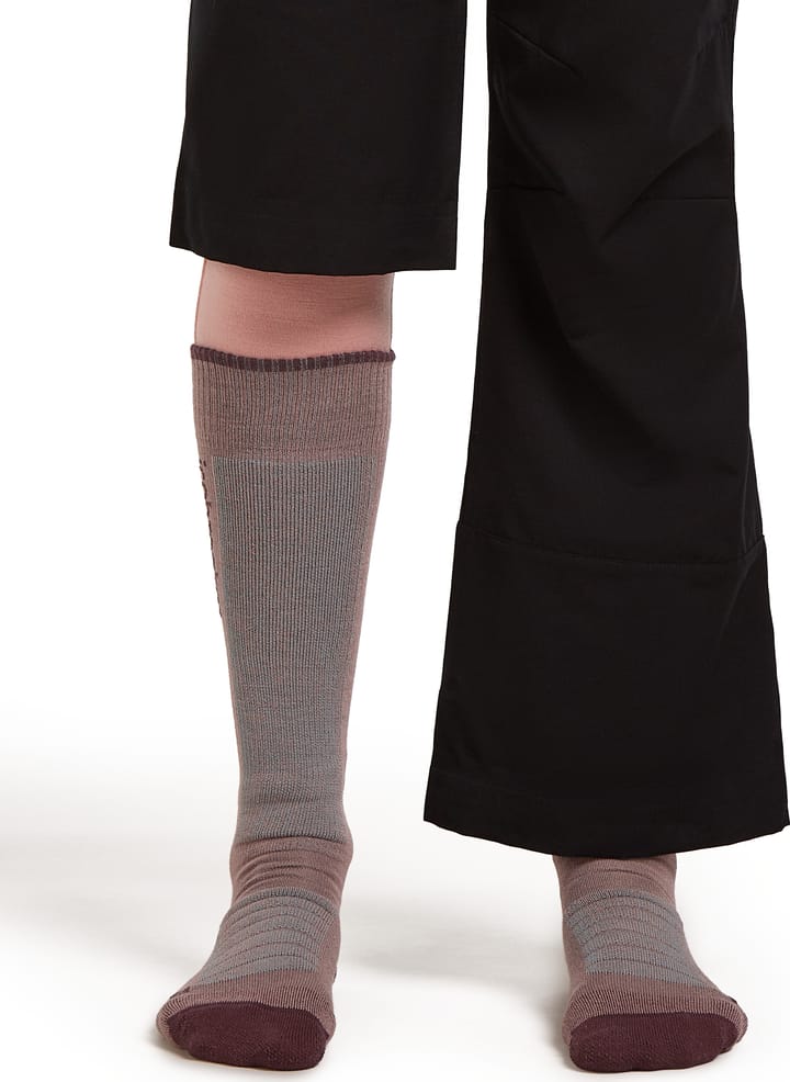 Icebreaker Women's Merino Ski+ Medium Summit/java/hydro Icebreaker
